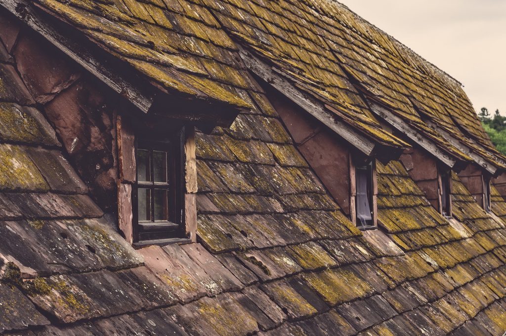 Roof Shingles